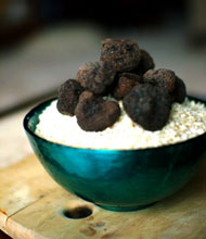 Chinese black truffles on rice grains in a ceramic bowl