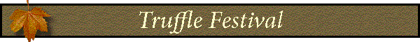 Truffle Festival